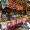 Harvest Moon Festival 2019