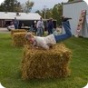 Harvest Moon Festival 2019